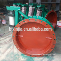 Pneumatic Drive Flange Type Aeration Butterfly Valve